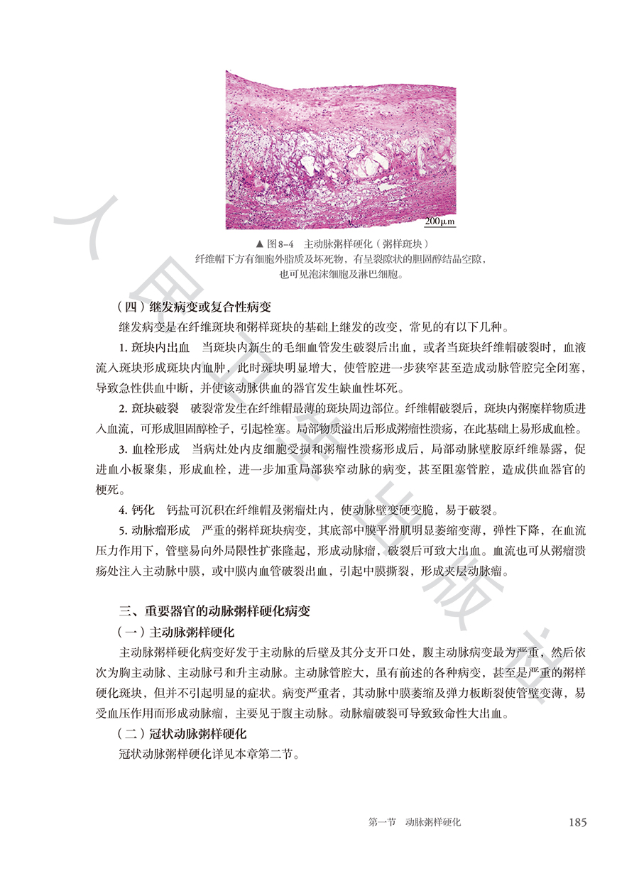 9787117384612(yz) (7).jpg