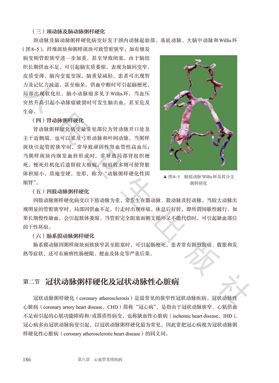 9787117384612(yz) (8).jpg