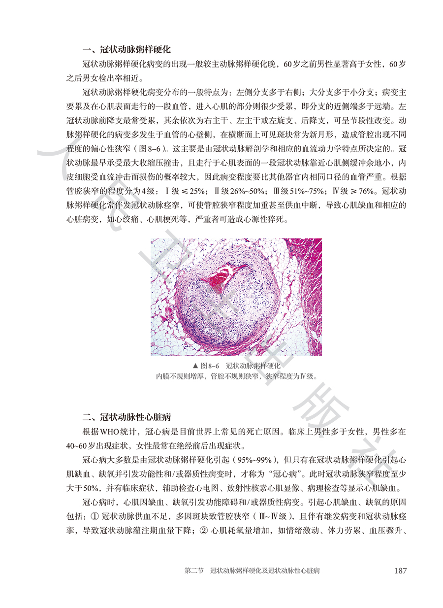 9787117384612(yz) (9).jpg