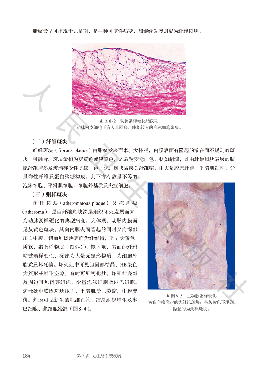 9787117384612(yz) (6).jpg