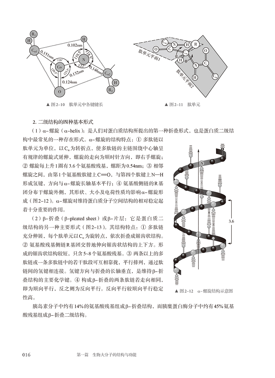 9787117385947(yz)A (10).jpg