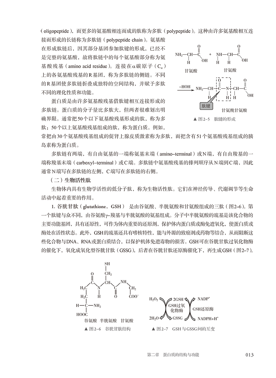 9787117385947(yz) (7).jpg